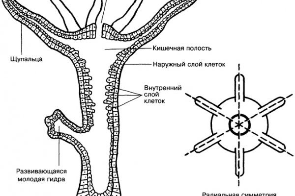 Кракен сайт ссылка настоящая kraken11