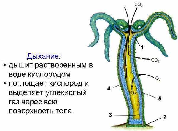 Не могу зайти в аккаунт кракен