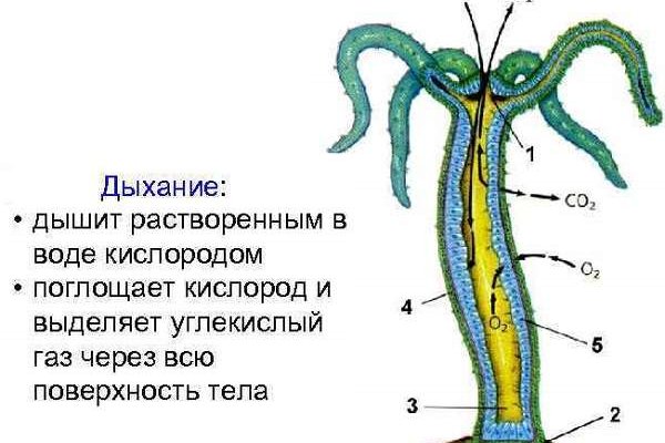 Не получается зайти на кракен