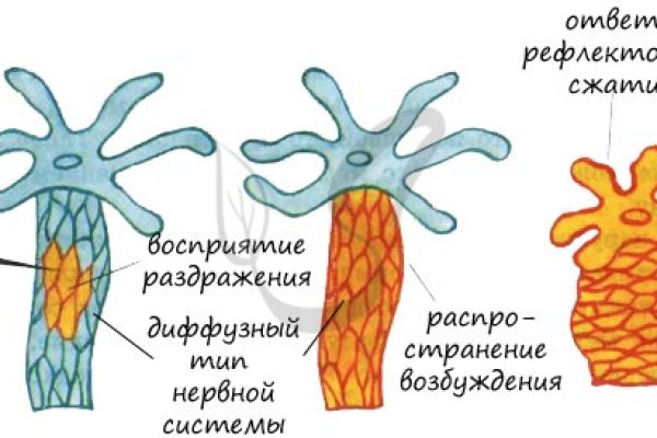 Кракен даркнет площадка