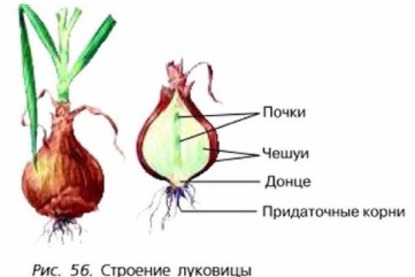 Вывести деньги с кракена